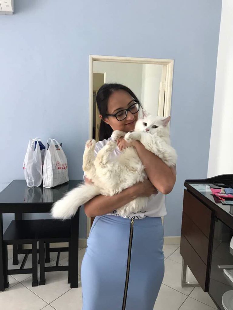 Pet Travel to Malaysia