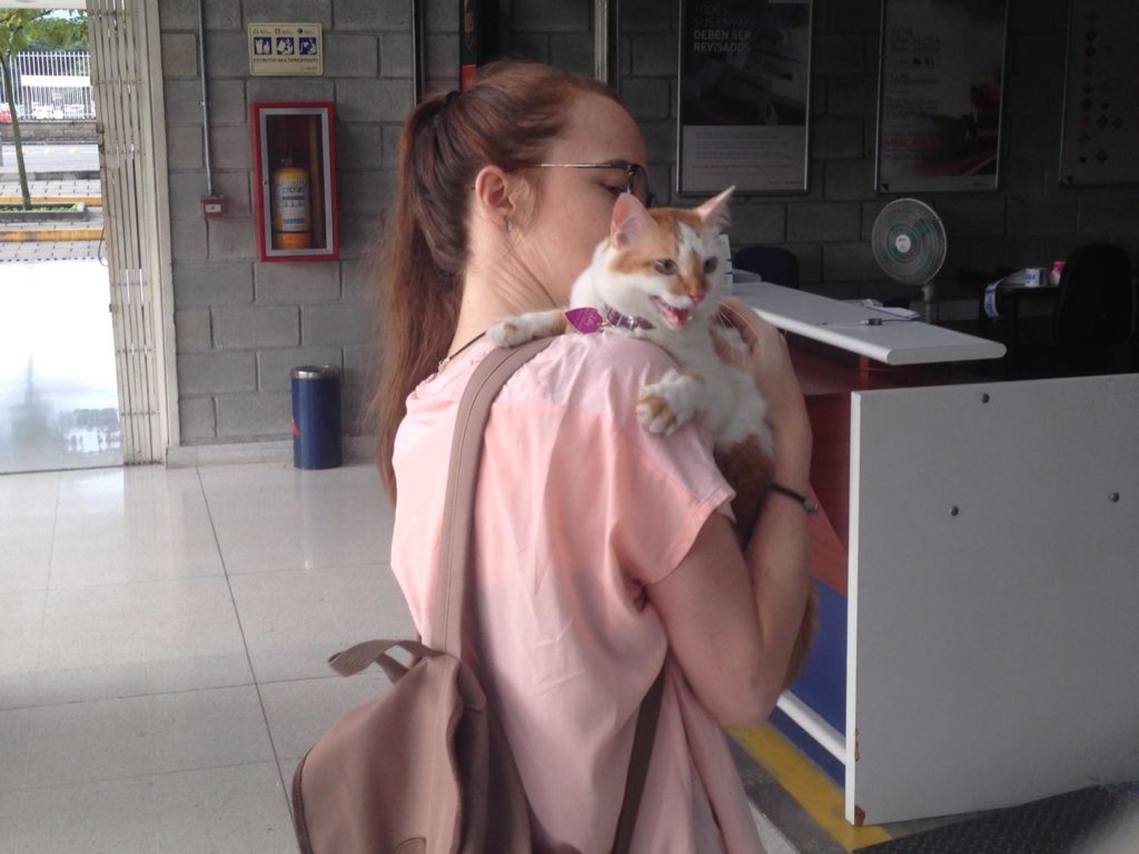 Pet Travel Guide: Bringing Pets to Colombia from Kuala Lumpur, Malaysia