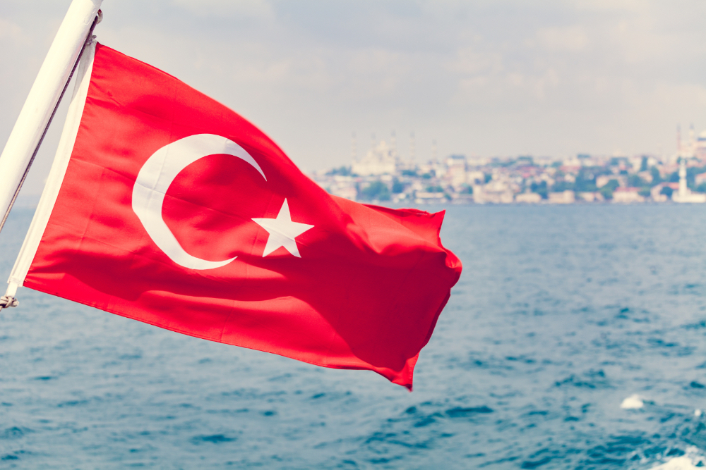 Pet Travel Guide: Bringing Pets to Istanbul from Kuala Lumpur, Malaysia